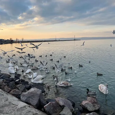 Dorina Wellness アパート *