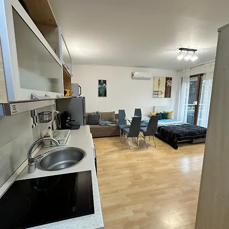 Dorina Wellness Apartman *
