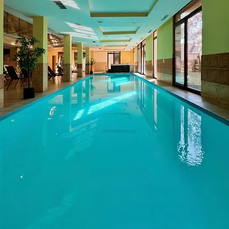 Dorina Wellness Apartman *