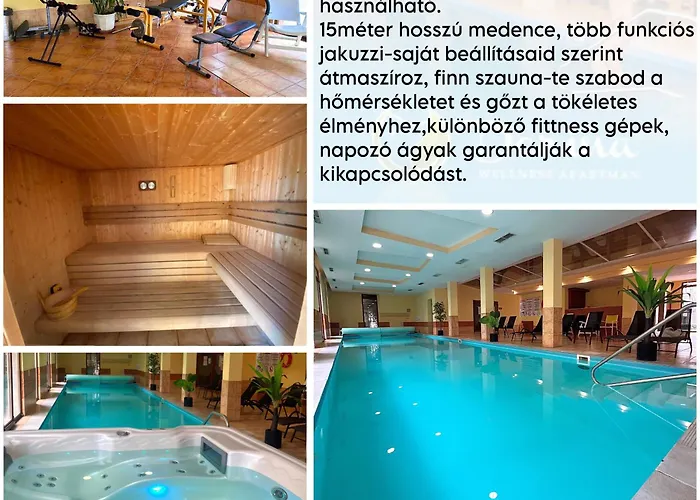 Dorina Wellness * Siófok